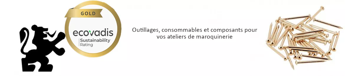 Bannière Ecovadis
